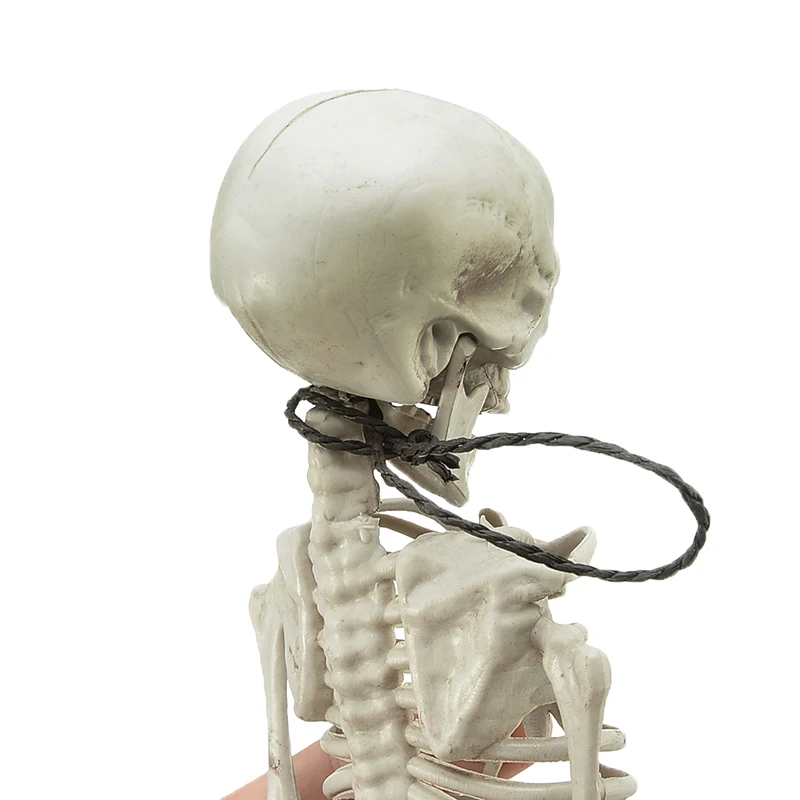 40 см Гибкая анатомическая кость человека медицинская модель скелета медицинская помощь для обучения Анатомия Искусство Эскиз