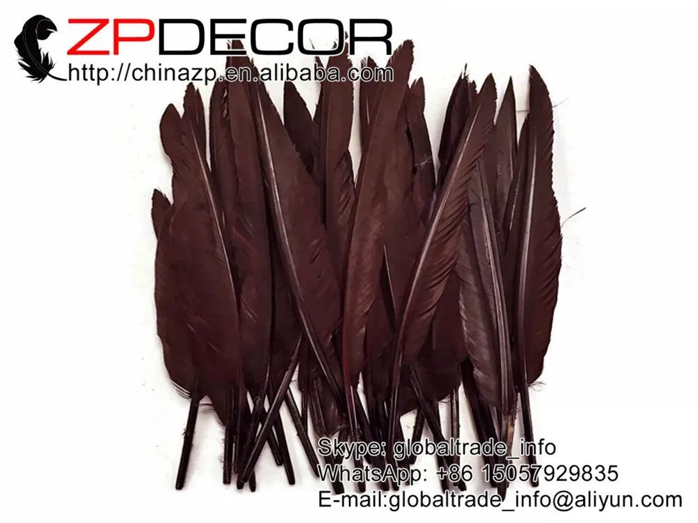 Large Black Wing Feathers, 1 Pack - BROWN Duck Primary Wing Pointer Feathers