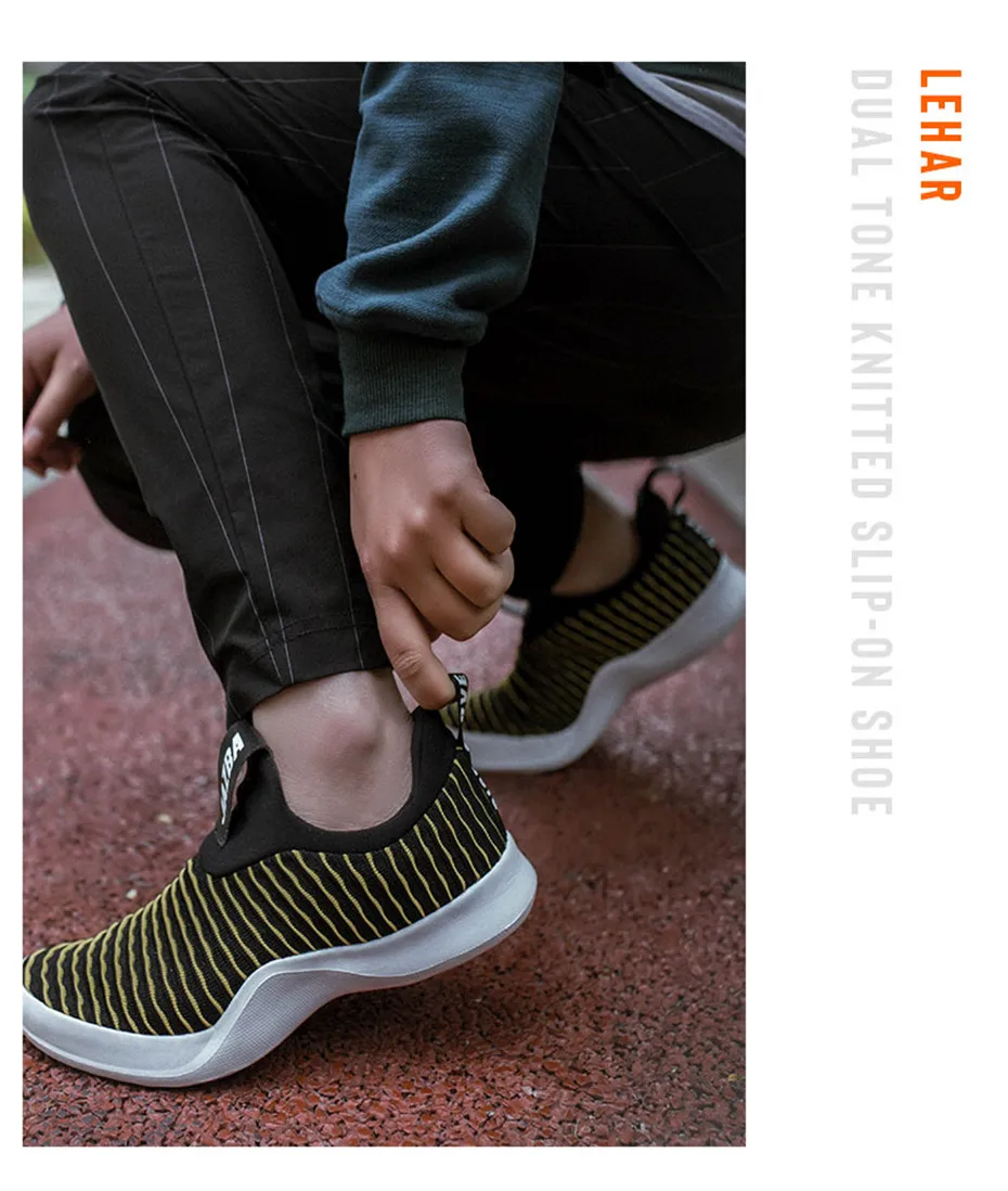 LEHAR详情_11