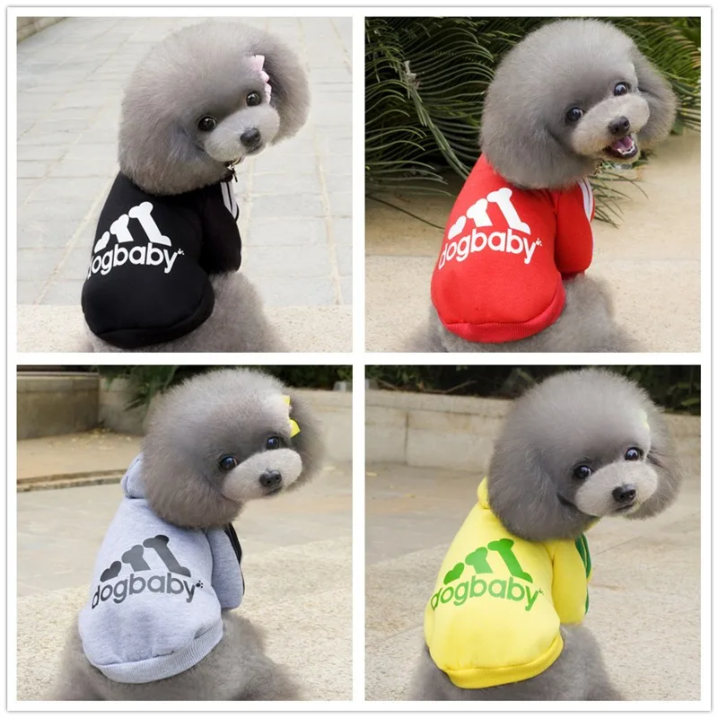 dogbaby66_1