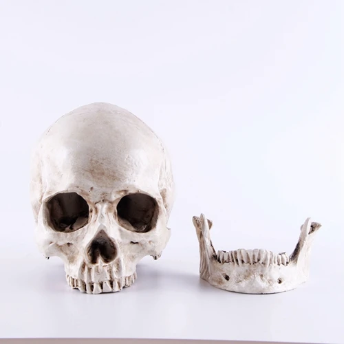 Полимерная форма для изготовления черепа Lifesize 1:1 медицинский человек череп модель Хэллоуин домашний череп украшение статуи декоративные скульптуры ремесла - Цвет: 102