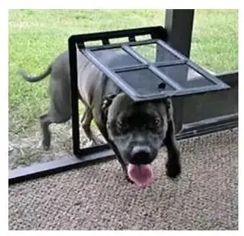 Large size pet door anti-mosquito screen window cat dog door cat crates