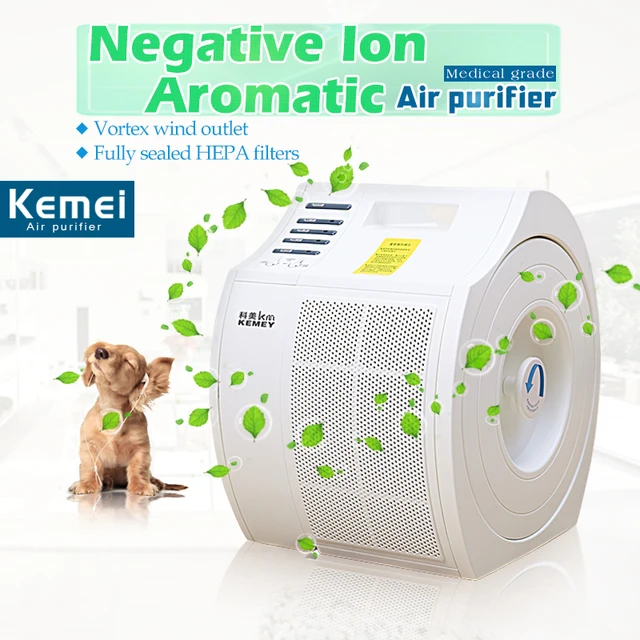 best air cleaner purifier