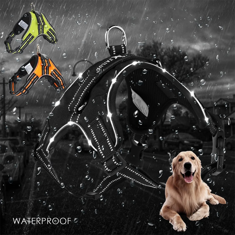 Buy Luxury Large Pet Dogs Harness with LED Adjustable