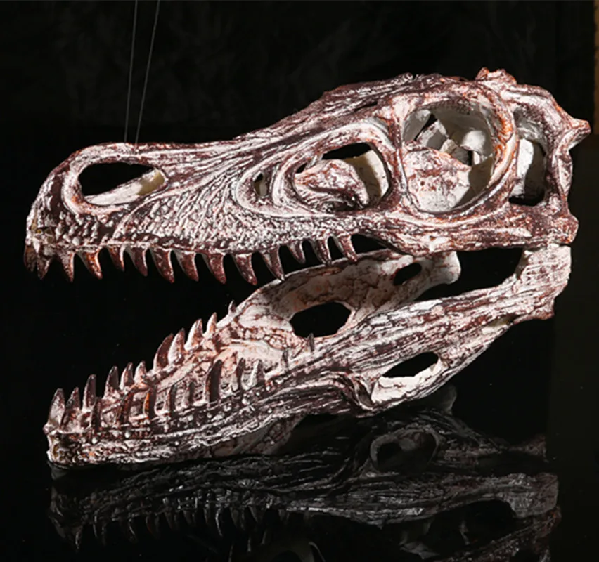 Velociraptor Skull Dinosaur Статуэтка из полистоуна модель 1/1 Fossil Resin череп динозавра|skull