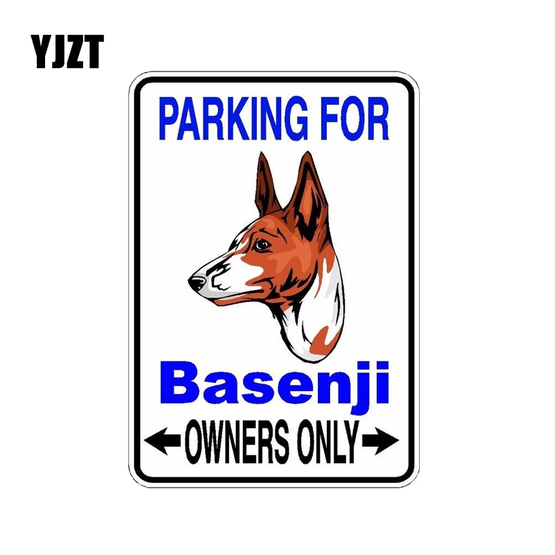 

YJZT 10*14.2CM Basenji Dog Dog PVC High Quality Car Sticker C1-4531