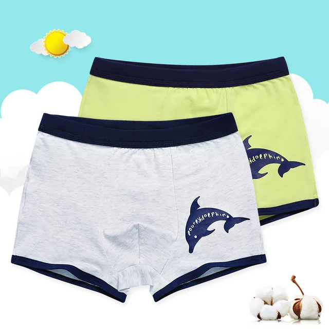 2 Pcs/lot Boys' Cartoon Briefs Male Child Underwear Baby Boy Shorts