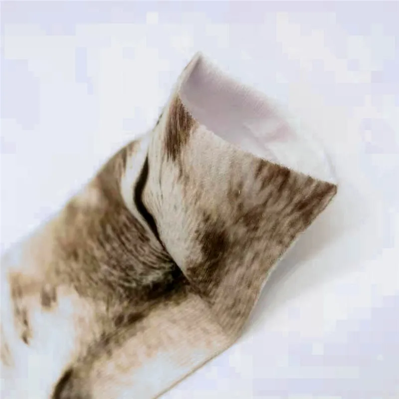 _20190225110818
