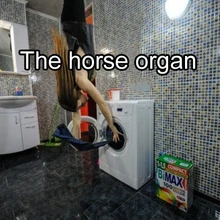 Номер побега игры Реквизит беспроводной инверсии тела Аутентичные новизны реквизит органа