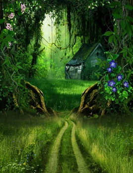 

Vinyl fairy tale photo background forest house photography backdrop for photo studio photography background