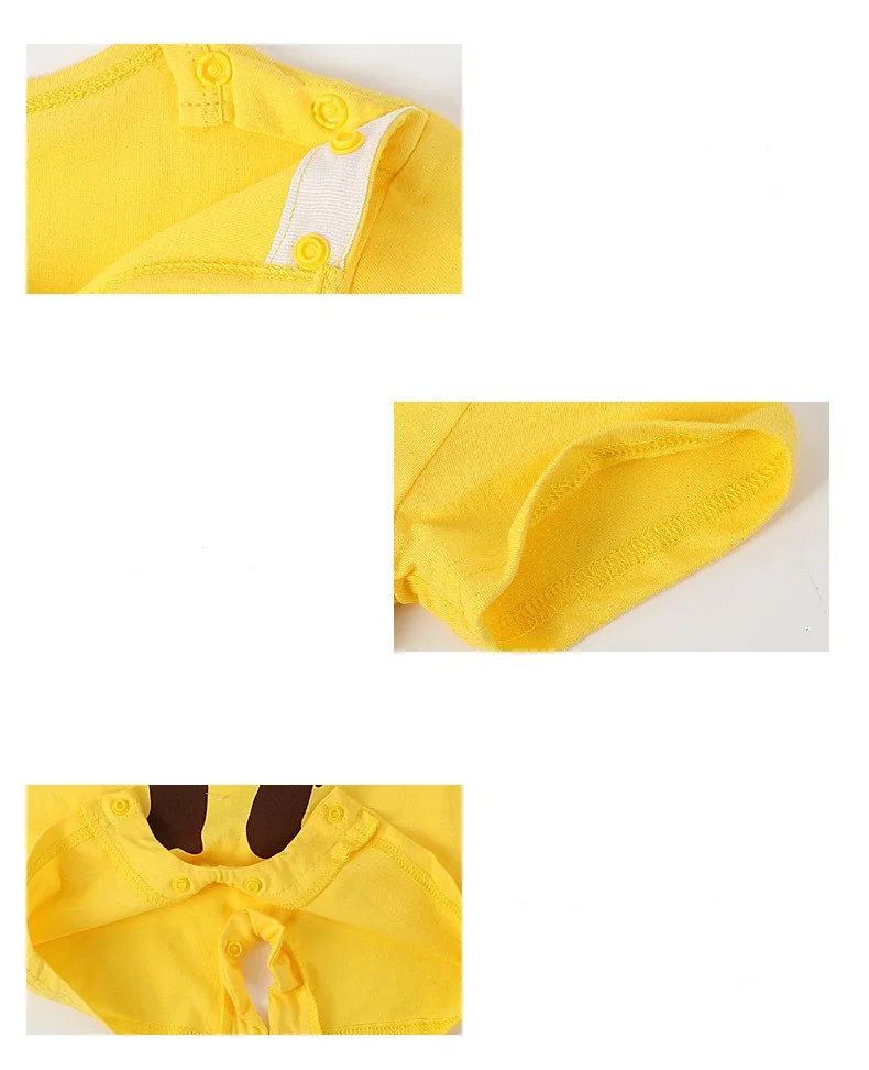 4176749316_83995936