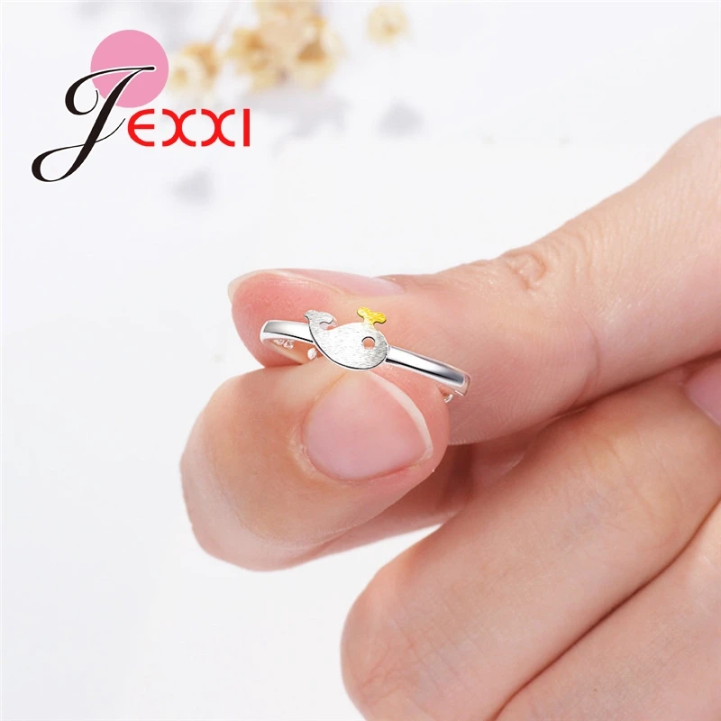 XJZ242 (7)