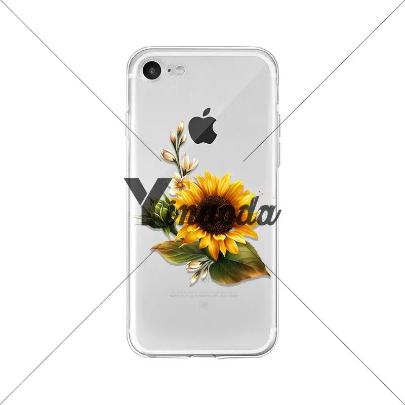 Flower sunflower