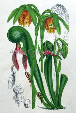 105-8_