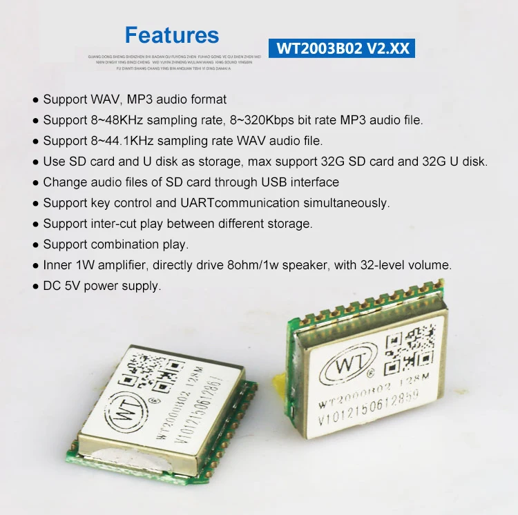 MP3 audio module (2)