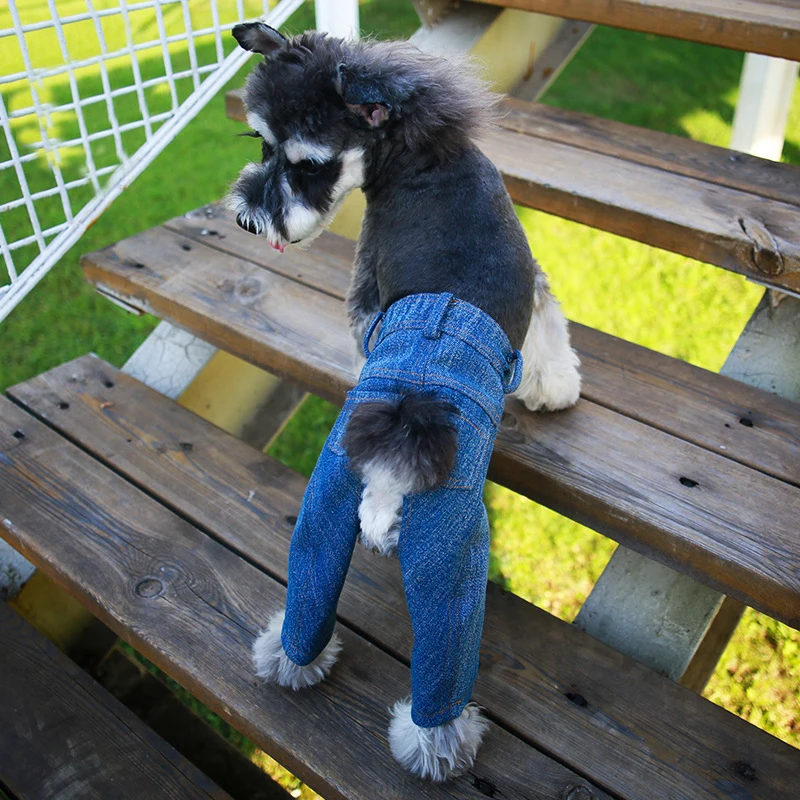 Маленькая собака джинсы пальто куртка Cool Cat на лето и весну щенок комбинезон в целом Костюмы для Pitbull Животные Товары