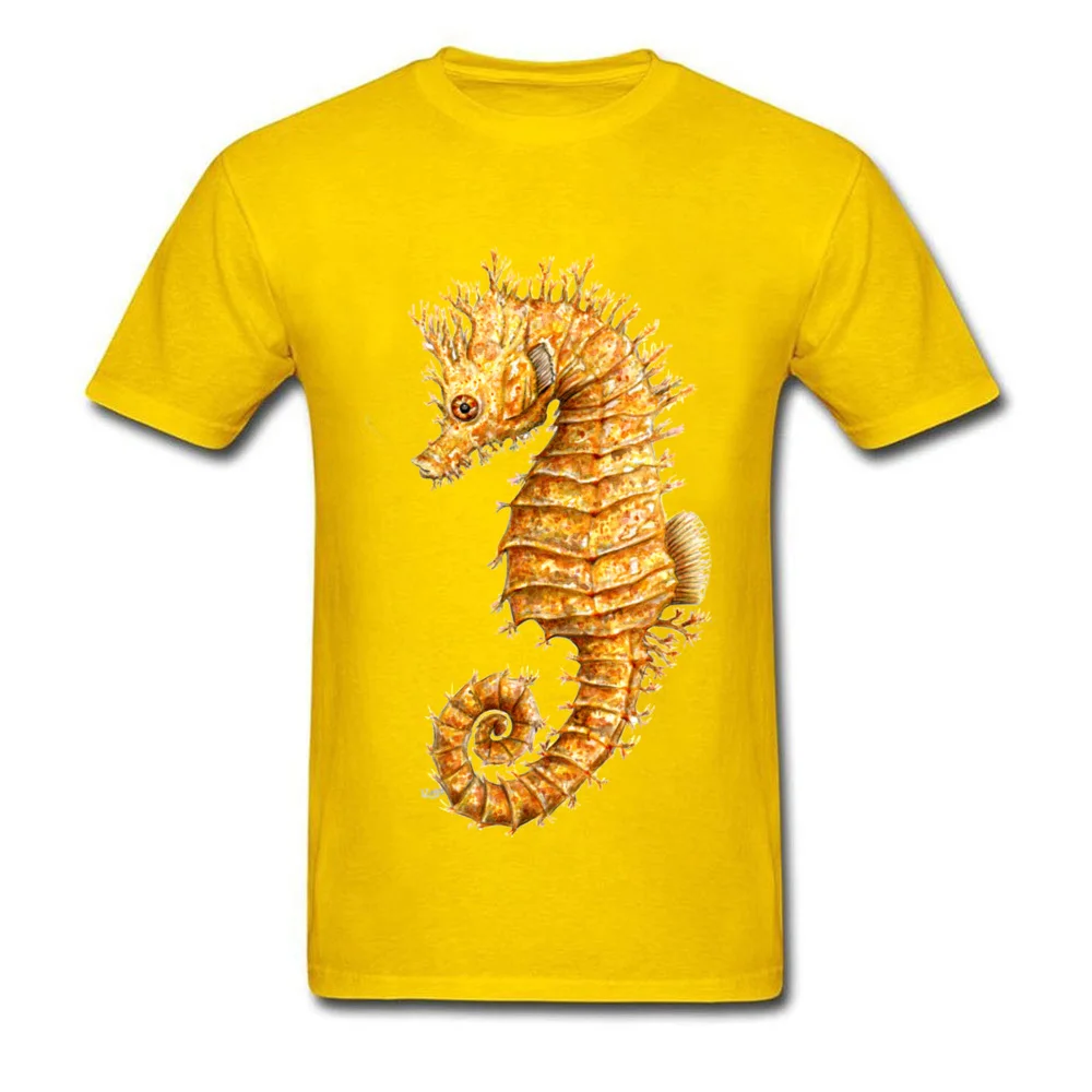 Horse of the seas Common seahorse_yellow