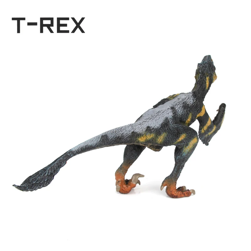 SS005-3
