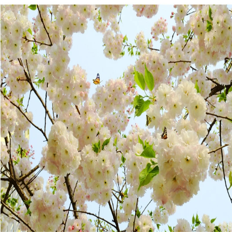 Us 8 4 44 Off Wellyu Wallpaper Kustom 3d Besar Tiga Dimensi Dinding Foto Oboi Mural Bunga Segar Ruang Tamu Langit Langit Atap Wallpaper 3d In