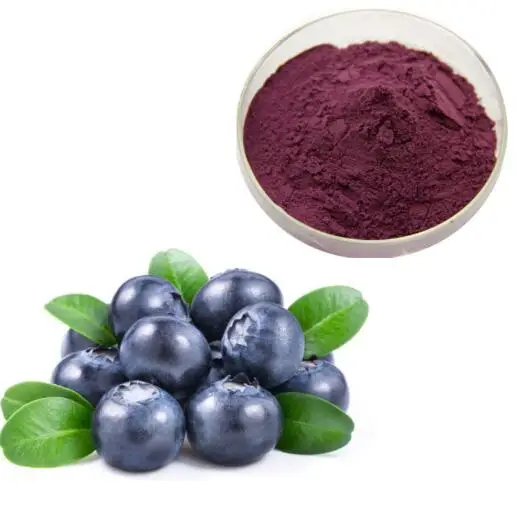 

Prevent Brain Aging,Anti Cancer,100% Natural Extract Drinks Anthocyanin Powder,Blueberry Extract Powder (high quality)