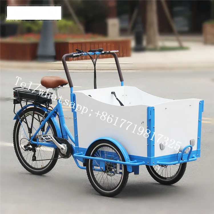 3 wheel electric cargo bike