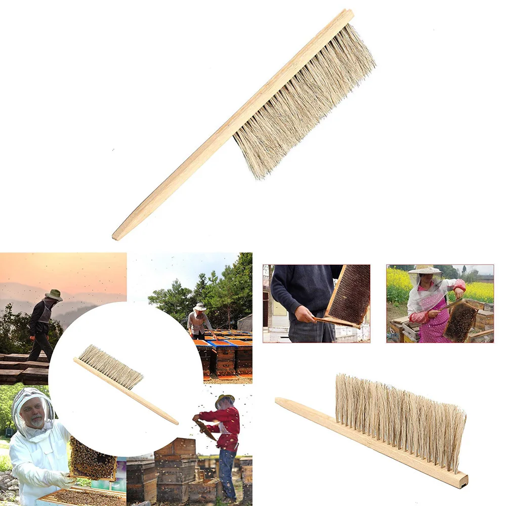 Инструменты для пчеловодства деревянная ОСА щетка-сметка два ряда волосы конского хвоста новая пчелиная щетка оборудование для пчеловодства