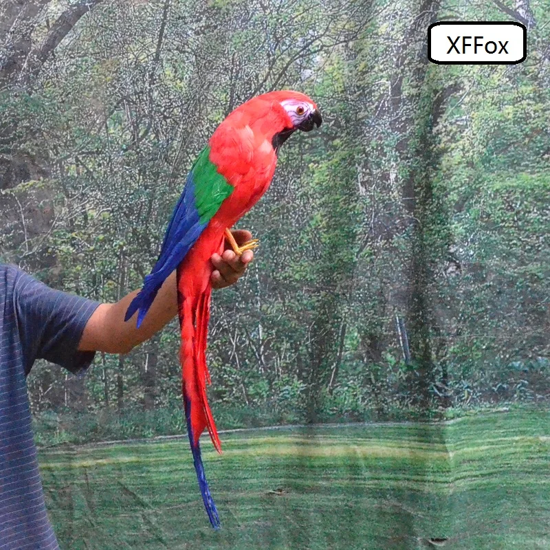 

new real life red&blue parrot model foam&feather simulation big parrot bird gift about 65cm xf0167