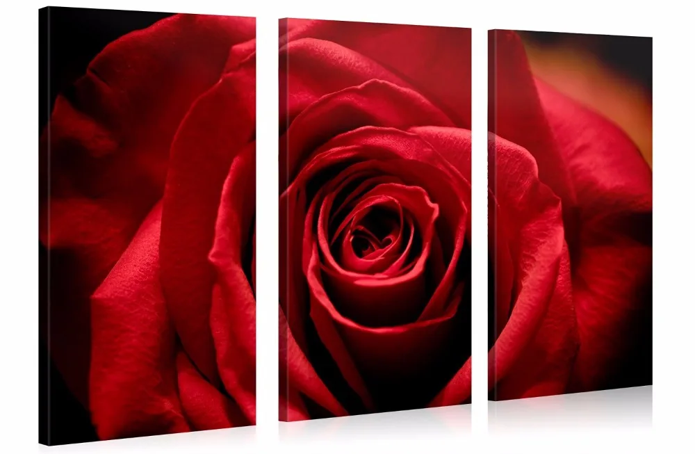 3 Pieces/set Canvas Printed Painting Red rose Painting Wall Art