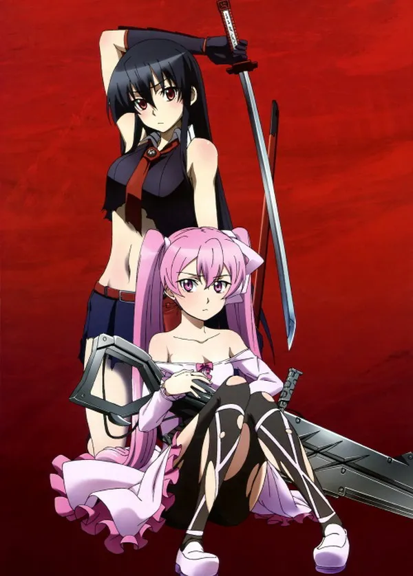 Home Decoration Akame Ga Kill! Anime &amp Mine 90*60CM Wall Scroll Poster #39458 | Дом и сад