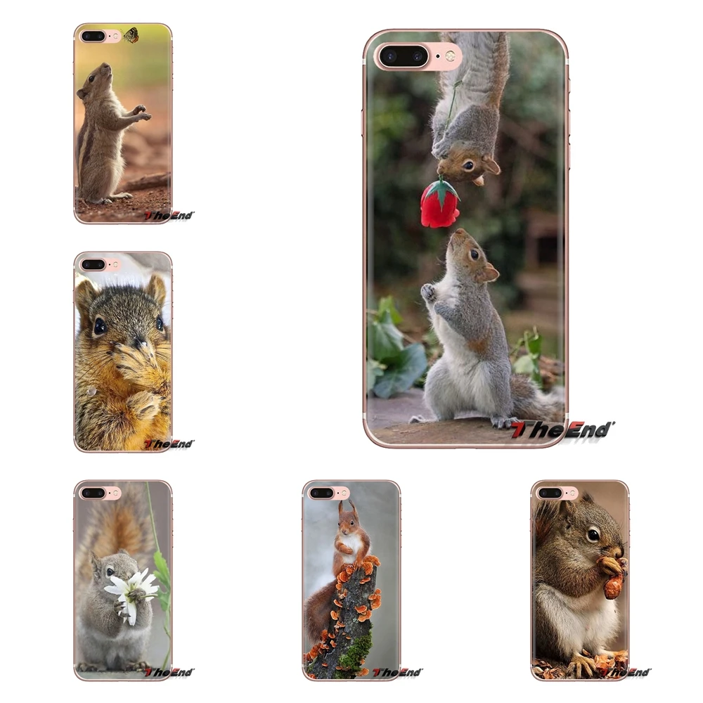 Прозрачные мягкие чехлы для Xiaomi Redmi 4A S2 Note 3 3S 4 4X 5 Plus 6 7 6A Pro Pocophone F1 Red Squirrel Sciurus vulgaris |