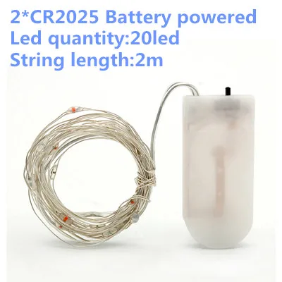 CR2025 battery 2m Гирляндовый светильник, светодиодная гирлянда, 1-10 м, USB, на батарейках, для улицы, теплый белый/RGB, фестиваль, Свадебная вечеринка, украшение, сказочный светильник - Испускаемый цвет: CR2025 battery 2m