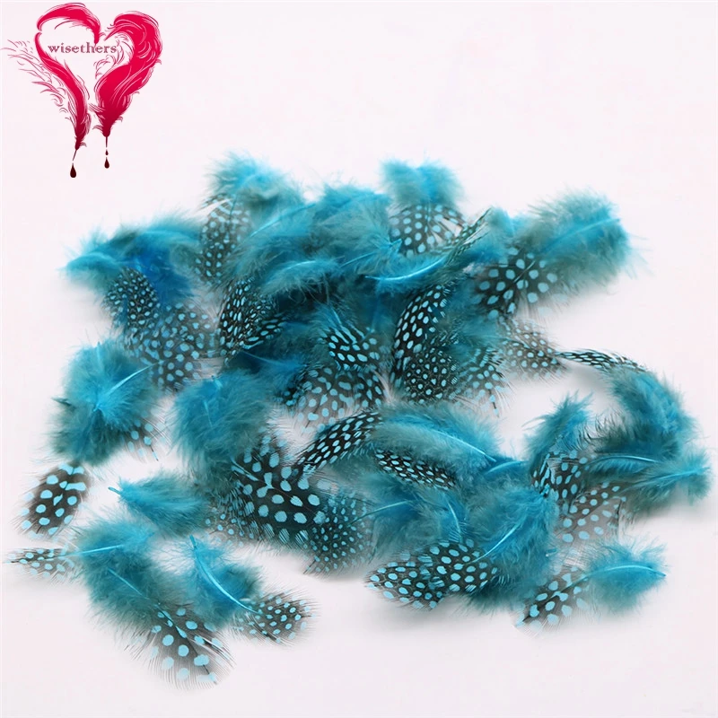 10 turquoise guinea fowl feather 5