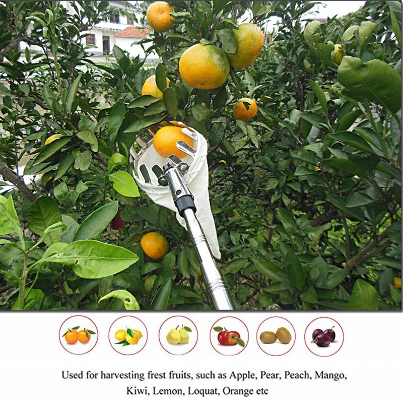 

Berserker Garden Tools Metal Fruit Picker Convenient Fabric Orchard Gardening Apple Peach Tree Picking Tools