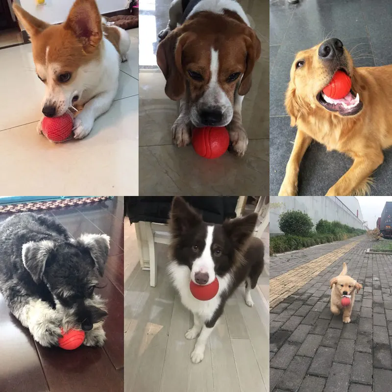 06 dog toys for large dogs 