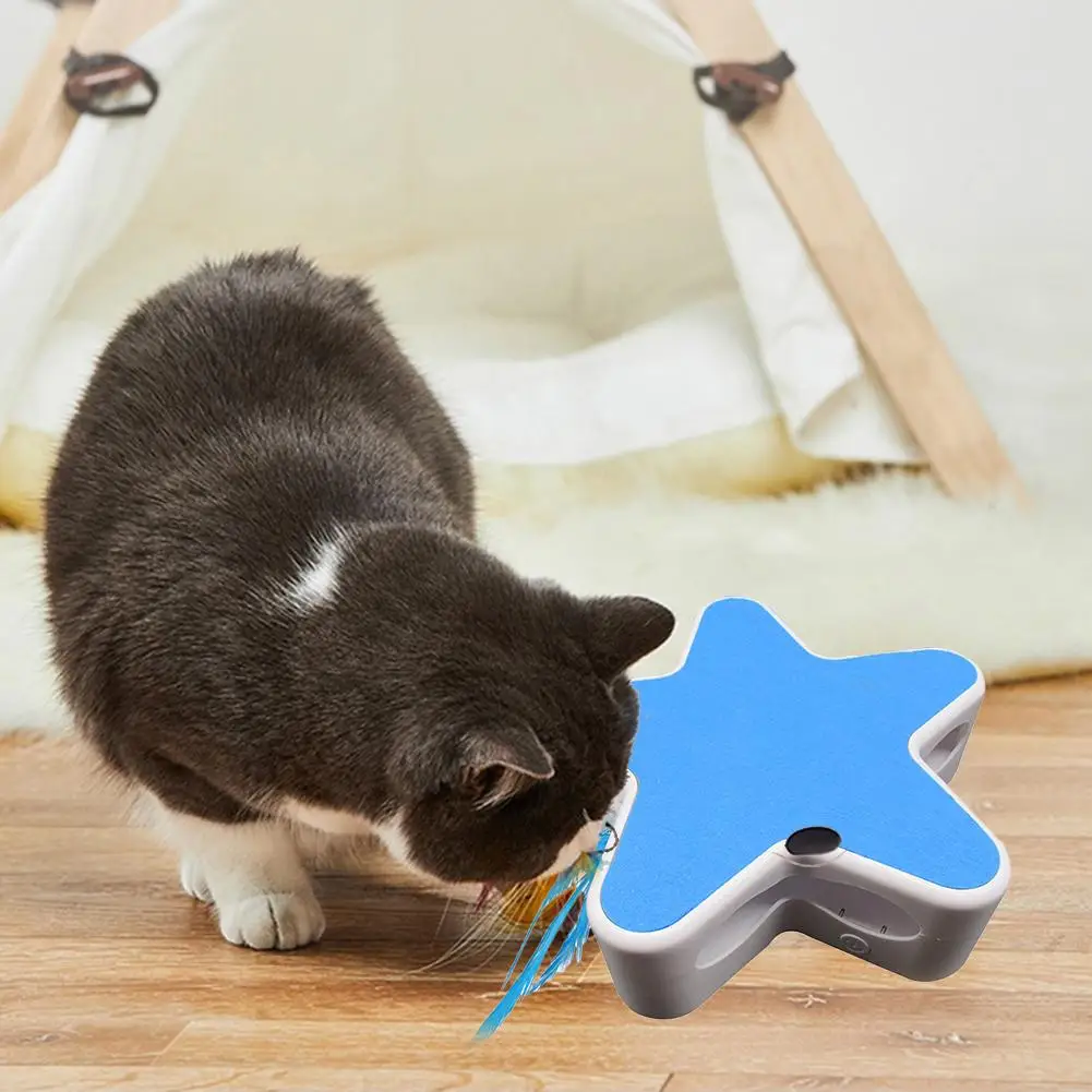 Starfish Cat-Teasing Turntable Image 4