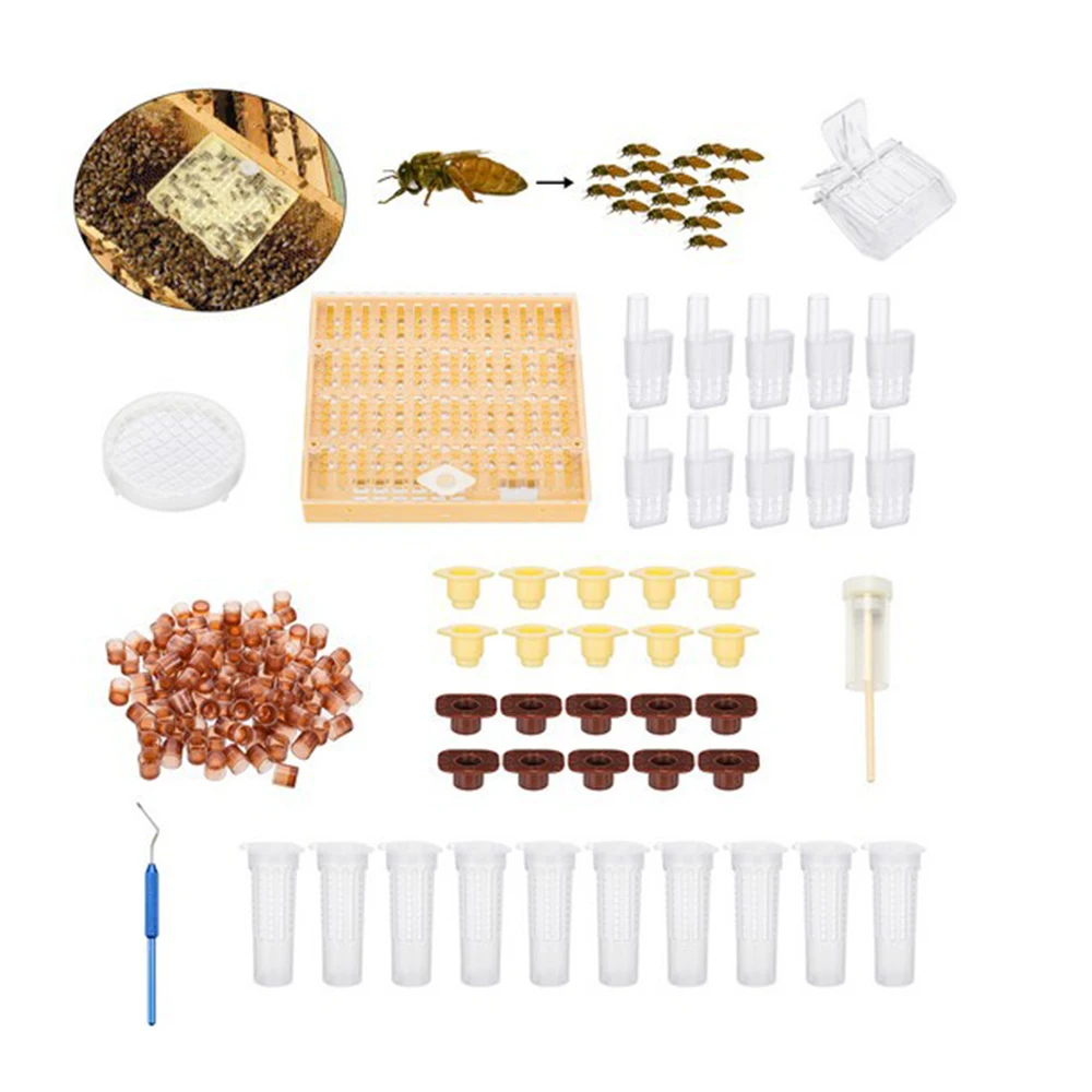 

2019 New Complete Full Bee Queen Creation Cup Kit System Bee Box Beekeeping Catcher Cage Set Beekeeping Toolbox Beekeeper