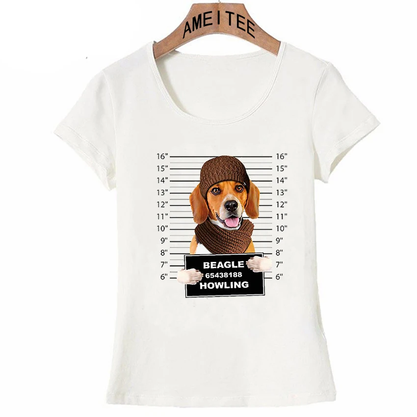 beagle feminina