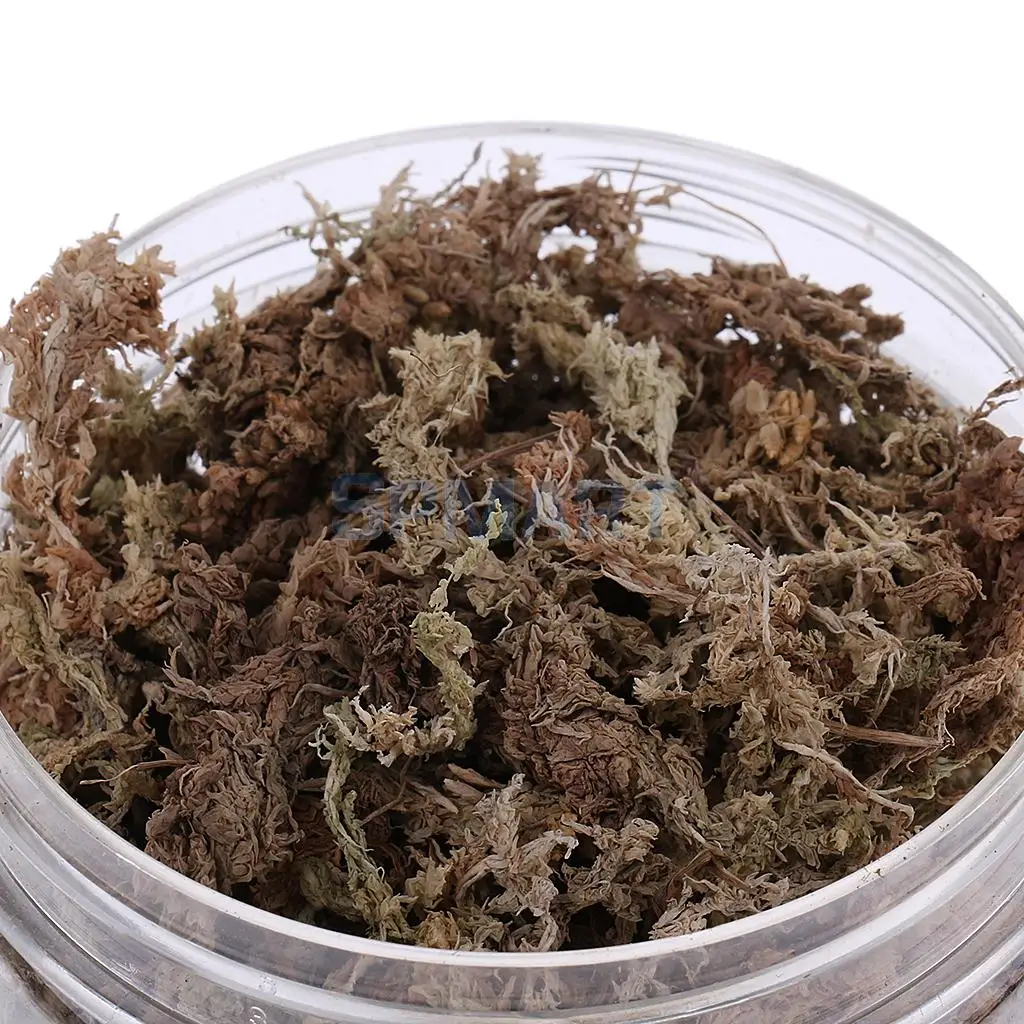 100ML/500ML Dry Grass Model Moss for Layout Terrain Vegetation Diorama Building Toy
