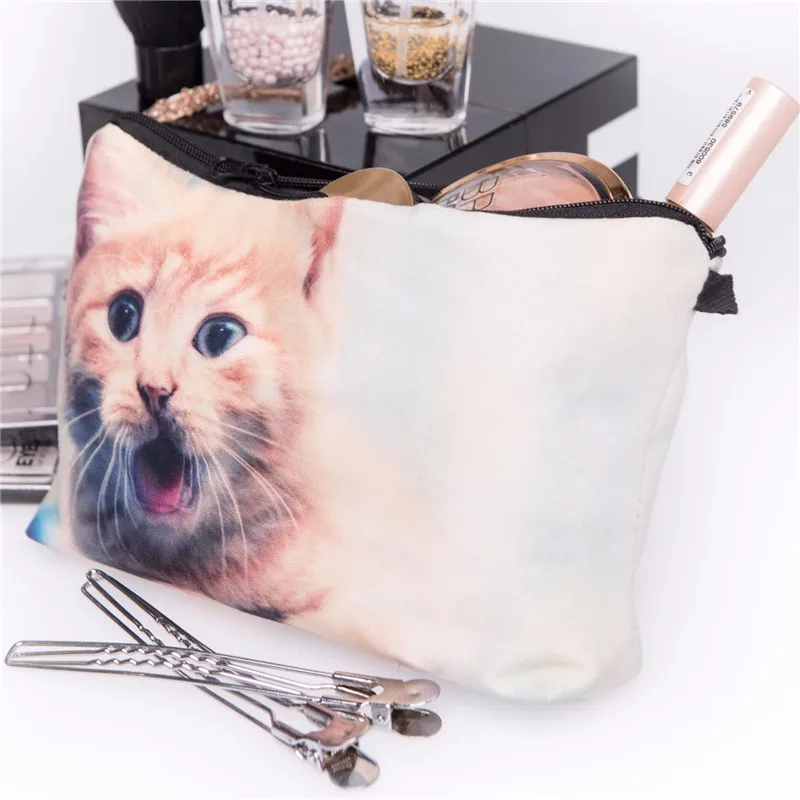 36955 kitten2 012
