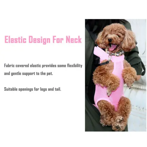 Pet Puppy Dog Cat Carrier Backpack Front Net Mesh Bag Travel Tote Sling Carrier
