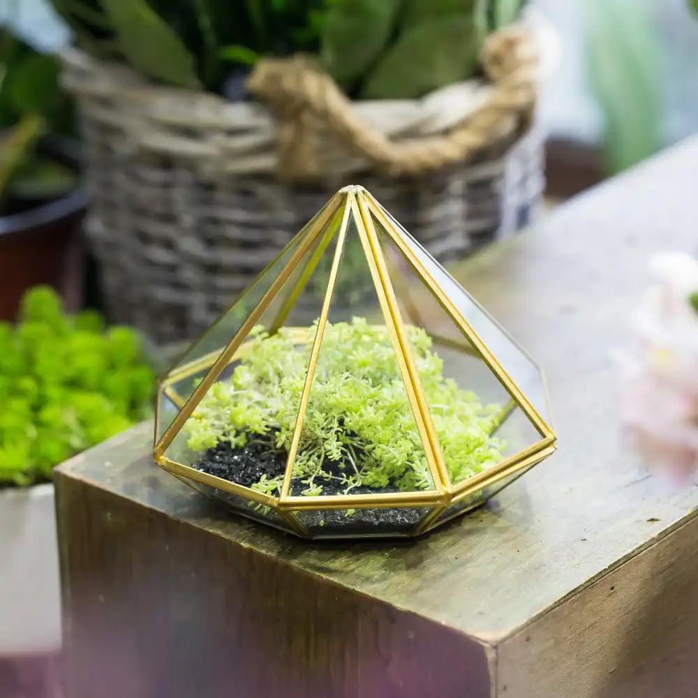 Tabletop Gold Diamond Glass Succulent Plant Moss Display Flower Pot Small Windowsill Planter Centerpiece Geometric Terrarium Box Flower Pots Small Flower Potglass Succulent Aliexpress
