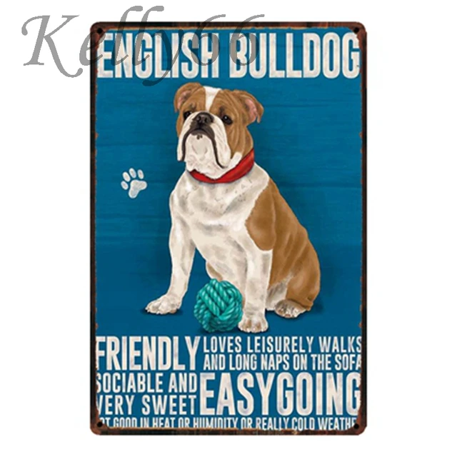 autism and dogs as therapy