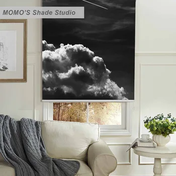 

MOMO Thermal Insulated Blackout Fabric Custom Scenic Window Curtains Roller Shades Blinds,PRB set189