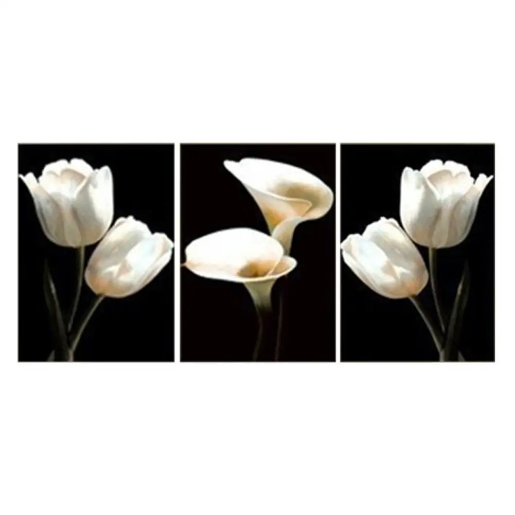 TPFOCUS 3pcs Flower Wall Painting Hanging Decoration Print Cavas for Home Background Paint
