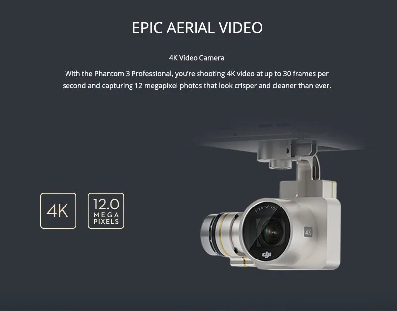 In Stock Ready To Fly DJI Phantom 3 Professional Version With 4K Camera RC Quadcopter With Special Gift EMS