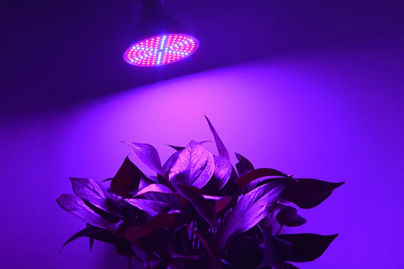 product_01