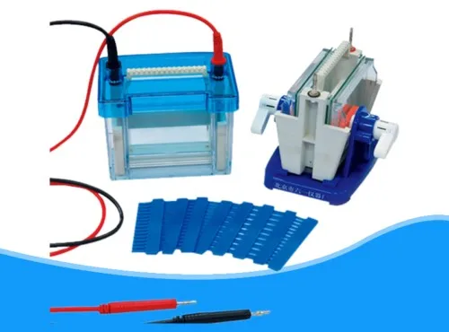 

Lab Mini Modular Dual Vertical Gel Electrophoresis Cell System Brand new RH