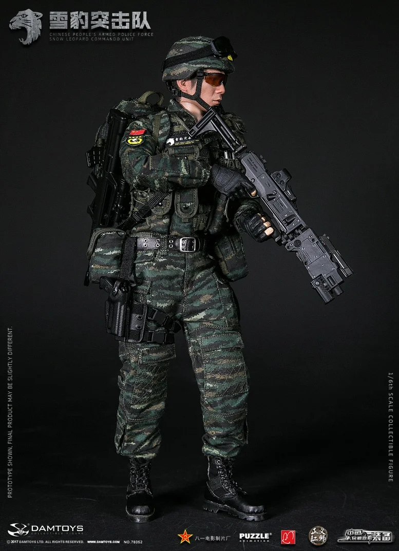 DAMTOYS DAM 78052 1/6 китайская коллекция снежный леопард коллекционная фигурка для