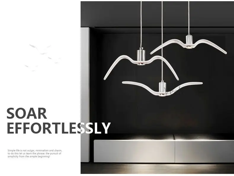 Pendant light  (7)