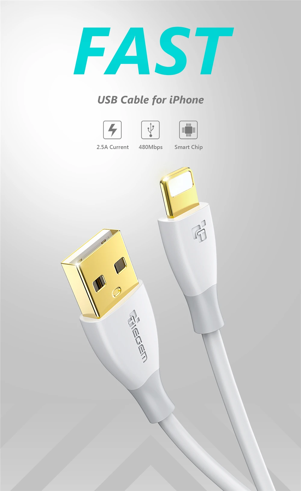 TIEGEM USB зарядный кабель для iPhone X, 8, 7, 6, 6s Plus, 2A, быстрая зарядка, USB кабель для передачи данных для iPhone 5, 5S, SE, iPad, кабель для мобильного телефона